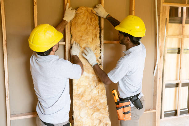 Best Commercial Insulation Services  in Lisbon, OH