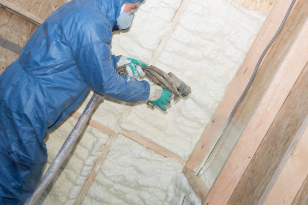 Best Soundproof Insulation  in Lisbon, OH